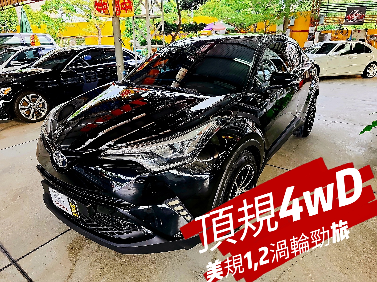 圖片